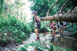 BIB: 
                            <button type="button" onclick="openModal(25441393)" class="btn btn-primary btn-sm float-right btn-popup" data-toggle="modal" data-target=".modal-high-quality">
                        <i class="fas fa-shopping-cart"></i> Add to Cart
                    </button>
                                            <button type="button" onclick="isThisMe(25441393, true)" class="btn btn-success btn-sm float-right btn-popup btn-isme hidden" data-toggle="tooltip" data-placement="bottom" title="นี่คือรูปของคุณใช่ไหม คลิกที่นี่เพื่อเอาเข้าอัลบั้ม">
                        <i class="fas fa-plus"></i> Add to album
                    </button>
                    <button type="button" onclick="isThisMe(25441393, false)" class="btn btn-warning btn-sm float-right btn-popup btn-isnotme hidden">
                        <i class="fas fa-ban"></i> Remove from album
                    </button>